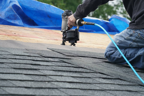 Best Gutter Installation and Roofing  in Owingsville, KY